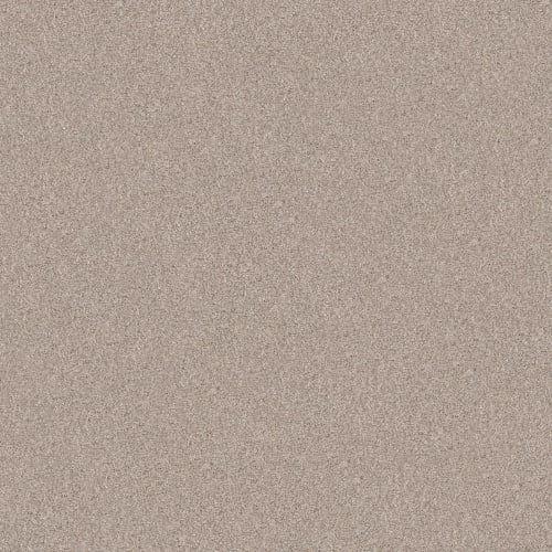 LIVE ON COMFORT in Warm Sand Carpet