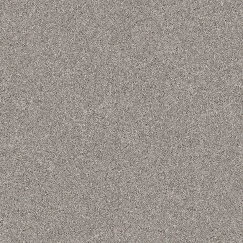 YES YOU CAN I 15' in Rock Crystal Carpet