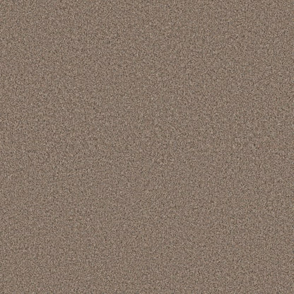 ARTISTIC FUSION II in Moonwalk Carpet