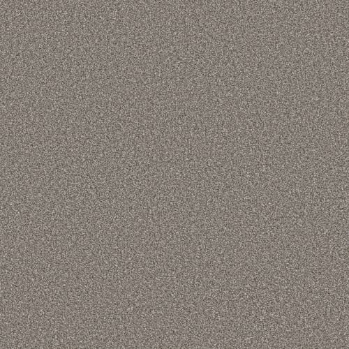 TruSolutions II in Tree Bark Carpet
