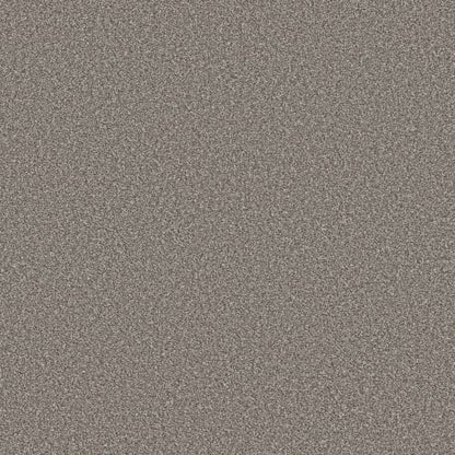 TruSolutions II in Tree Bark Carpet