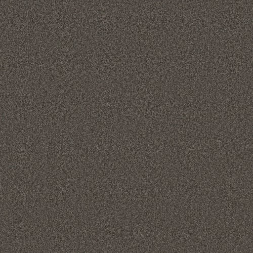 TONAL COMFORT I in Weekend Getaway Carpet