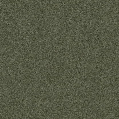TONAL COMFORT II
