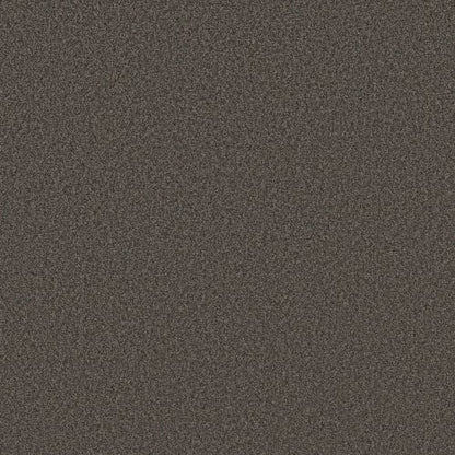TONAL COMFORT II