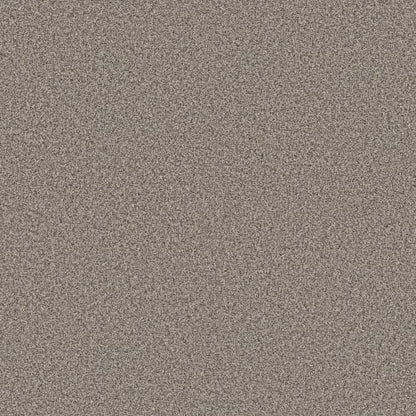 RENEWED ENERGY II in Prairie Run Carpet