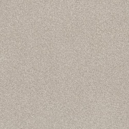 COMFORTING II in Dainty Lace Carpet