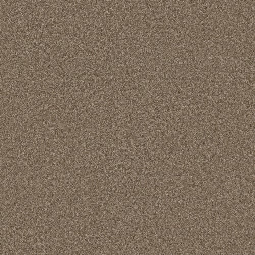 AFFIRMATION II in Spanish Brown Carpet