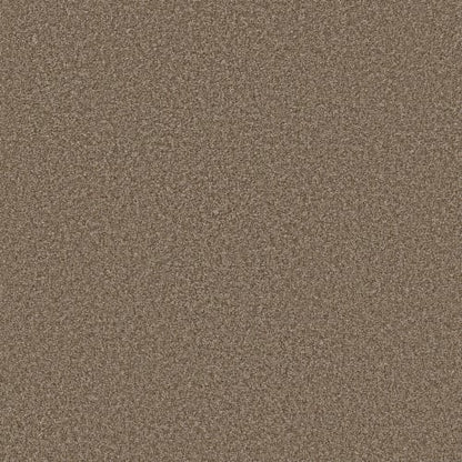 AFFIRMATION II in Spanish Brown Carpet