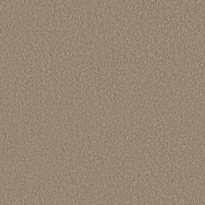 HIGH RANKING S in Broadstreet Carpet