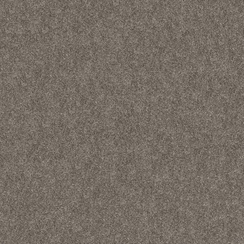 GRAND OUTLOOK in Worn Path Carpet