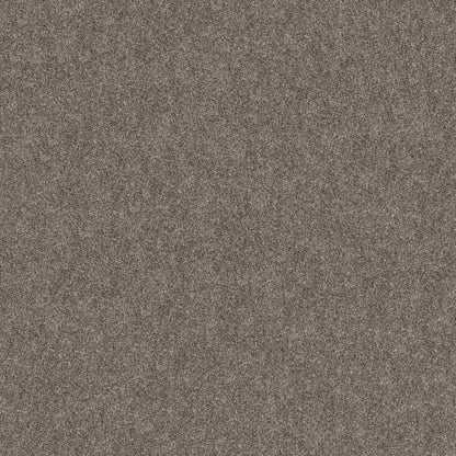 GRAND OUTLOOK in Worn Path Carpet