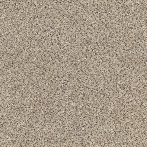 TAKE THE FLOOR ACCENT II