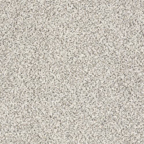 TAKE THE FLOOR ACCENT II