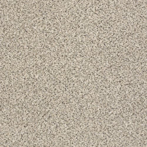 TAKE THE FLOOR ACCENT II