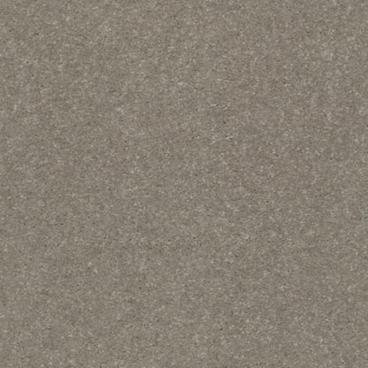 SOLIDIFY II 12' in Natural Contour Carpet