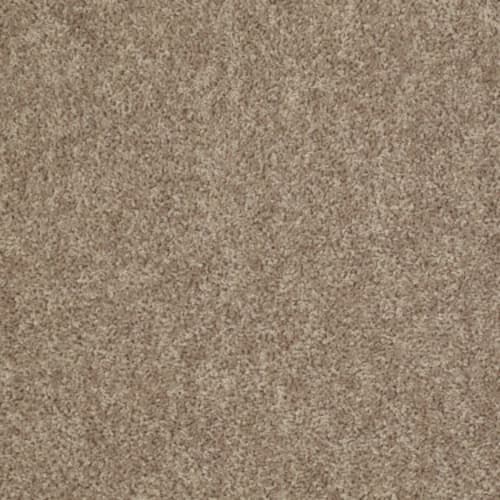 TAKE AWAY (S) in Raft Carpet