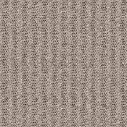 NATURALISTIC in Baltic Stone Carpet