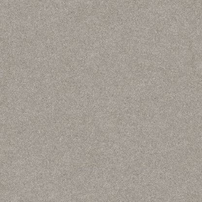 HARMONIOUS III in Baltic Stone Carpet
