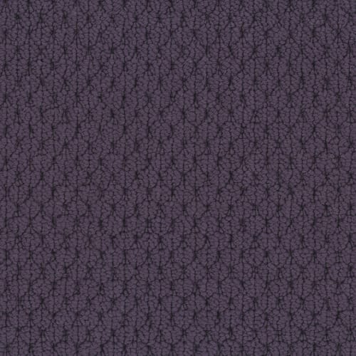 Adulation in Couleur Carpet