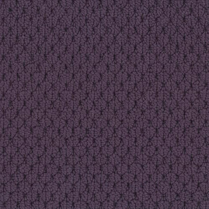 Adulation in Couleur Carpet