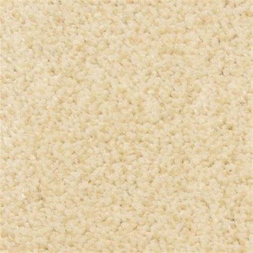 Gusto in Almond Carpet
