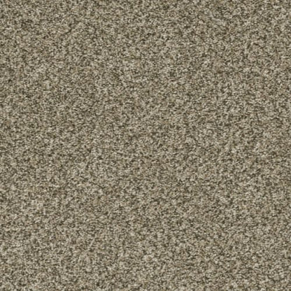 Brazen I in Sedona Carpet