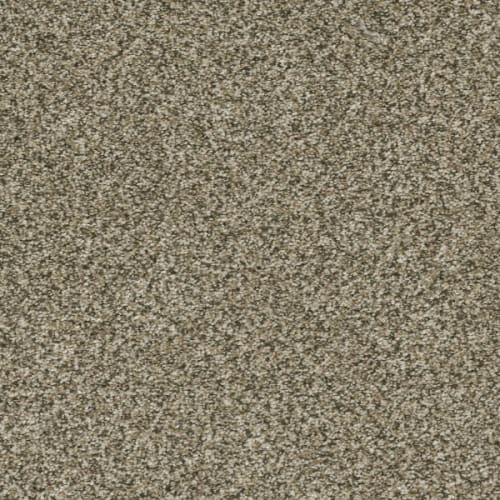 Brazen I in Sedona Carpet