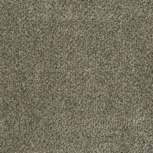 Brazen II in Feather Soft Carpet