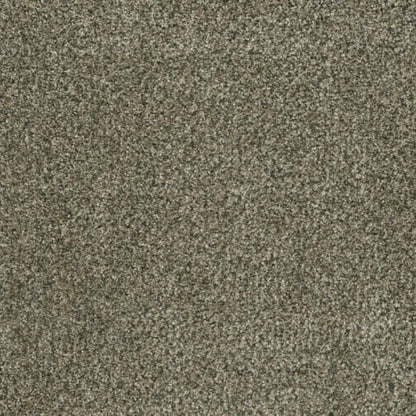 Brazen II in Feather Soft Carpet