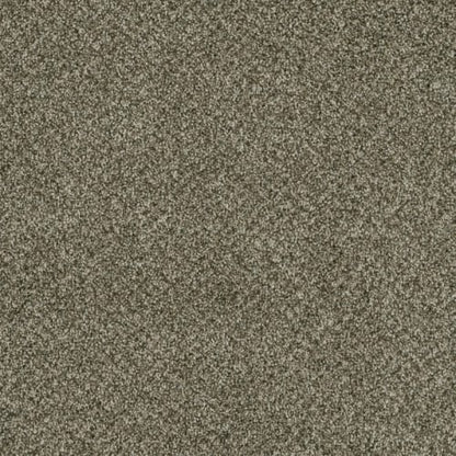 Brazen II