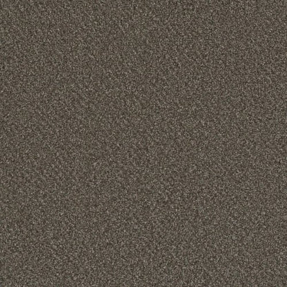 Metropolis I