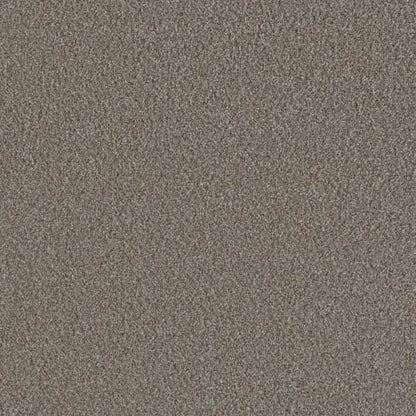 Metropolis III