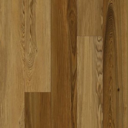Refined Forest in Cedar
