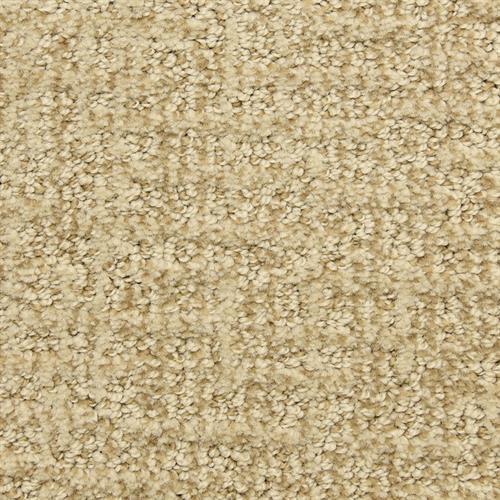 Aspects in Bittersweet Carpet