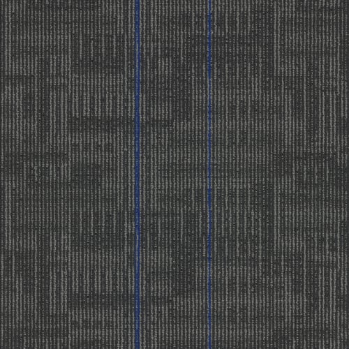 Echo Plank