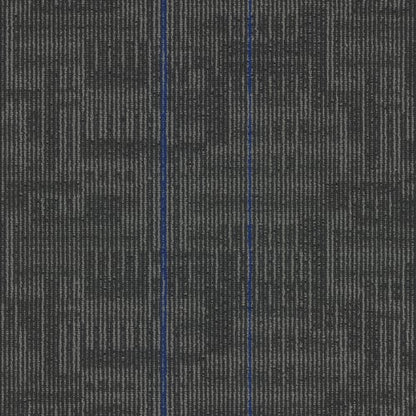 Echo Plank