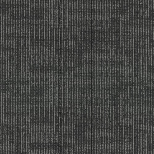Echo Plank