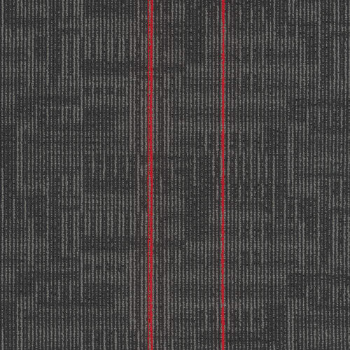 Echo Plank