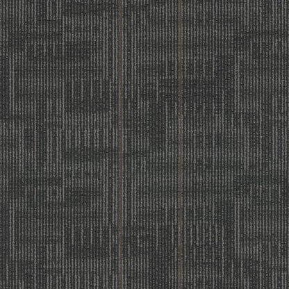 Echo Plank