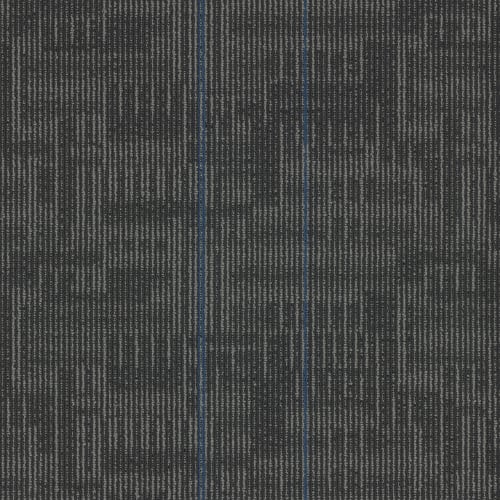Echo Plank