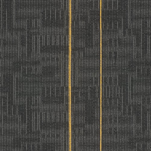 Echo Plank in Medallion Carpet Tile