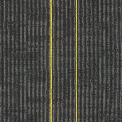 Echo Plank