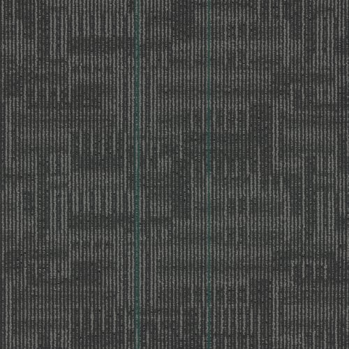 Echo Plank