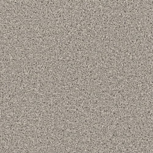 Groundwork Plus in Silver Birch Carpet