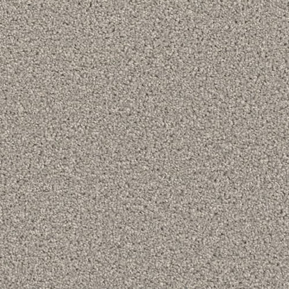 Groundwork Plus in Silver Birch Carpet