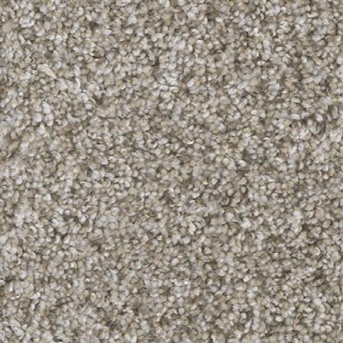 Jackson Hole II in Snow River Carpet