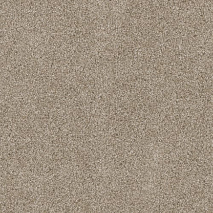 Ashton Hills in Sawgrass Carpet