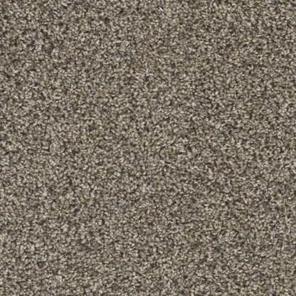 First Class in Tanzanite Carpet