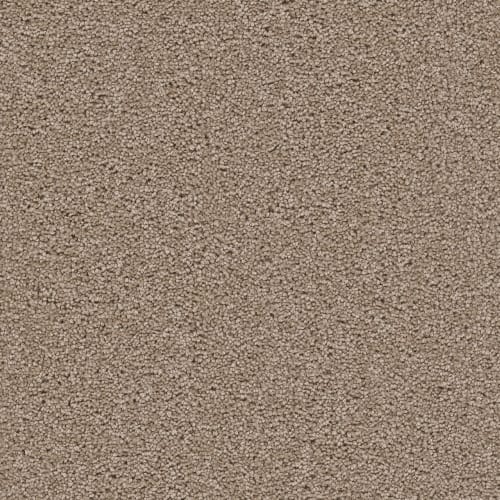 All Star in Cashew Carpet