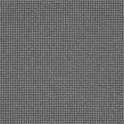 Camelot in Iron Carpet